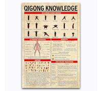 JIUFOTK Carteles metálicos vintage de Qigong Knowledge, 8 x 12 pulgadas, decoración de pared para el hogar, infografías científicas, carteles de hojalata
