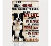 JIUFOTK Letrero de metal vintage con texto Border Collie Life Dog Lover, decoración rústica de pared para el hogar, cafetería, casa de campo, dormitorio, 8 x 12 pulgadas