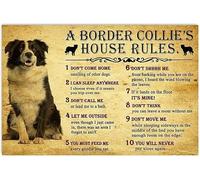 JIUFOTK Letrero metálico divertido con las reglas de la casa de Border Collie, decoración de pared, regalo de trabajo, familia, 8 x 12 pulgadas