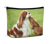 JiuPopular Bolsa de cosméticos, divertida bolsa de maquillaje camaleón, bolsa de aseo portátil con cremallera para uso diario, viajes, Cavalier King Charles Spaniel, Talla única