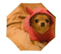 JiuPopular Paraguas plegable, bonito paraguas de erizo, paraguas de viaje resistente al viento y a la lluvia, Chihuahua deprimido, Manual