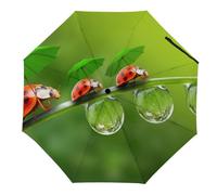 JiuPopular Paraguas plegable, estilo vintage, para botellas de vino y uva, paraguas de viaje resistente al viento, resistente a la lluvia, Mariquita Mariquita Paisaje Verde, Manual