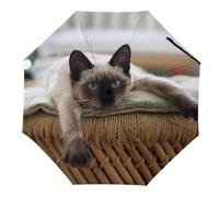 JiuPopular Paraguas plegable, paraguas de perezoso perezoso, paraguas de viaje resistente al viento y a la lluvia, Mandala de gato tailandés siamés, Manual