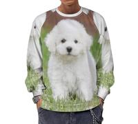 JiuPopular Sudadera de manga larga con cuello redondo, diseño de caballos de dibujos animados, ligera, informal, para hombre, Bichon Frise Dog, S