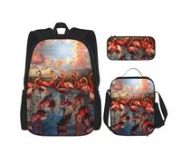 JIUTY Flamingos - Mochila escolar de 16 pulgadas con fiambrera, mochilas grandes para primaria y preescolar, Black, Talla única, Juego de mochila escolar