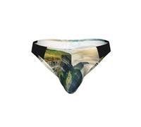 JIUTY Ireland Outdoors County Clare The Cliffs - Calzoncillos de bikini con estampado, Negro, L