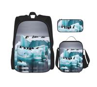 JIUTY Penguins On The Iceberg - Mochila escolar de 16 pulgadas con fiambrera, mochilas grandes para primaria y preescolar, Black, Talla única, Juego de mochila escolar