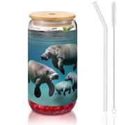 JIUTY Vasos con estampado de animales de manatí con tapas y popote de vidrio, 1 taza de vidrio de 16 onzas, vasos de café y cerveza