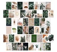 jiuzcare Tarjetas Decorativas de Papel, Set de 50 Postales Decorativas Estilo Verde Botánico Aesthetic para Decoración de Pared, Habitación, Dormitorio y Collage de Pared, Decoración Boho Natural