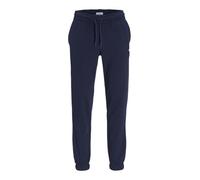 JJ REBEL Jrebgorm Reg Rebel Logo Sweat Pants Noos Pantalones de chándal, Sky Captain, XXL para Hombre
