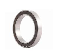 JJHQOKYNA 1 rodamiento Flexible F25 45,212 x 61,334 6,3 9,015 mm
