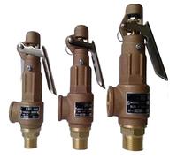 JJHQOKYNA Válvula de latón con manija for Tanque presión, Tipo Resorte, válvulas Seguridad Alivio Temperatura y for Caldera, 1 Unidad(DN50)