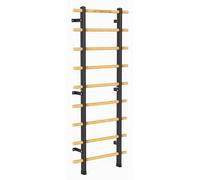 JK FITNESS Espaldera sueca multifuncional de madera y acero | Barra para dominadas y tomas Dip | Escalera para gimnasia, escalera sueca, espaldera, gimnasio o casa | Robusto (espaldera)