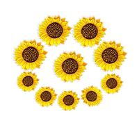 JKJF Parches bordados de girasol para planchar o coser, para ropa, mochila, zapatos, chaqueta, jeans, sombrero, vestido, manualidades, 10 unidades