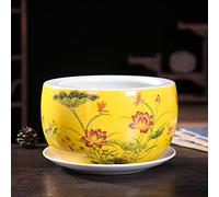 JKJZSALJ Maceta De Cerámica Redonda De 9,4 Pulgadas para Cactus Suculentos, Pintada A Mano, con Diseño Floral Y Bandeja, Estilo Clásico, De China. Altura: 25 X 14 Cm. Altura: 25 X 14 Cm.