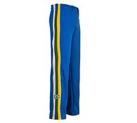 JL Sport Pantalones Auténticos Brasileños Capoeira Artes Marciales Hombres (Azul con Los Colores Nacionales En Brasil Verticales Bein Rayas) - XL