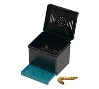 Jlkegfdf Terrario de reptiles - Caja de cría de mantis rezando | Hábitat ventilado para grillos, escarabajos, cucarachas, arañas, escorpiones, hormigas, mantas, interiores, hogar, aula, zoológico