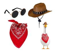 Jlobnyiun Trajes para ganso de porche, vaquero decorativo occidental divertido de 3 piezas, ropa de ganso de jardín con babero de gafas de - para jardín al aire libre, césped, patio o fiesta, sala de