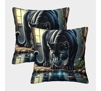 JLZBXCUER Pantera Negra Impresa Cojines Decoración Cuadrada Cojines para Sofá De Set De 2 Sofá De Jardín, Salón Y Terraza Cubiertas 40x40cm