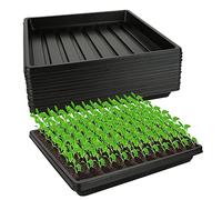 JMIATRY 12 Piezas Macetas Plastico, Macetas de Plástico Cuadradas, Reutilizable Macetas Cuadradas para Plantas, Cultivar - 26,9 x 26,9 x 3,6 cm