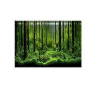 JMORCO Fondo Acuario Póster de Fondo for Tanque Bosque Submarino Adhesivo PVC, Papel Decorativo Impermeable(91x50cm)