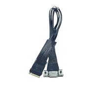 JMT M.2 NVMe M Key to Oculink 4i / SFF8611 - Cable de extensión PCIe4.0 X4 Gen3 4 compatible con T10 / SAS-4 SFF-8612 (30 cm)