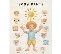 JMVLVLOA Body Parts Poster for Human Educational Learning Wall Chart Kindergarten Teaching Supplies Classroom Decor Bulletin Board(Framed,12x18inch(30x45cm))