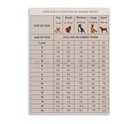 JMVLVLOA Dog Years to Human Chart Educational Canvas Poster for Pet Clinic Vet Office Wall Decor Lover Gift(Unframed,12x18inch(30x45cm))