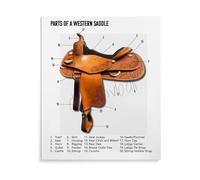 JMVLVLOA Equestrian Wall Art Western Saddle Parts Diagram Saddle Knowledge Guide Educational Canvas Poster for Study Room(Unframed,12x18inch(30x45cm))