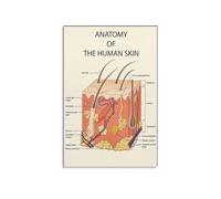 JMVLVLOA Human Skin Diagram Metal Poster Layers Anatomy Chart Wall Decor for Esthetician Student Training Office Waiting Room 8 X 12 inch