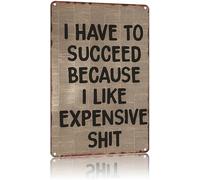 JMVLVLOA Humorous Quote Sign I Have To Succeed Because Like Nice Things Retro Tin for Office or Bar 8 X 12 in