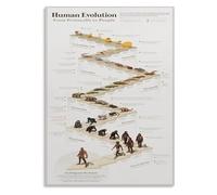 JMVLVLOA Illustrated Human Evolution Metal Sign Science Timeline Chart Educational Wall-Art for Classroom Teachers Lounge Home Office 8 X 12 in