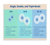 JMVLVLOA Science Classroom Decor STEM Chemistry Poster Chart of Single Double and Triple Bonds for High School or College 8 X 12 in