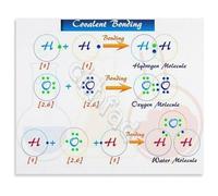 JMVLVLOA STEM Educational Wall-Art Chemistry Poster Chemical Bonding Chart for Classroom Decor School Teaching Aid or Homeschool 8 X 12 in
