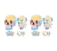 Jnchdghwa 2X Modelo de Cráneo de Anatomía, Rompecabezas de Cráneo de Anatomía, Mini Modelo de Cráneo Humano Desmontable, Enseñanza Clínica