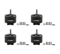 Jnchdghwa Motor Sin Escobillas 3115 de 900 KV, 6S, para Drones de Carreras de Larga Distancia con Visión en Primera Persona (FPV)
