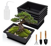 JNEYER 6 X Maceta Bonsai Rectangular con Plato 16.5x12x6cm Maceta Bonsai Ficus Plastico Negro para Bonsai Cactus y Suculentas Interior/Exterior Balcón Jardín Oficina Patio + 3 Herramientas + Regadera