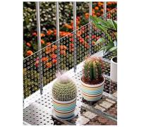 JNTFNE Láminas de policarbonato Perforadas con Agujeros de 10 mm, Almohadillas Decorativas Impermeables para Ventanas, Malla de policarbonato Transparente (60x300 cm)