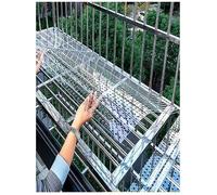 JNTFNE Láminas de policarbonato Perforadas con Orificios de 10 mm, Placa de Malla de plástico Ligera, Paneles Decorativos, Almohadillas Impermeables para Ventanas (30x100cm)