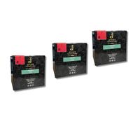 JO CAFÉ NAPOLETANO - Café en Monodosis GUSTO FORTE - 100% Robusta - Tueste Oscuro - Espresso Intenso y Cremoso - Alta Cafeína (2,57%) - Origen África y Asia - 150 monodosis ESE 44mm (3, Gusto Forte)