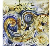 Joanie Madden - A Whistle On The Wind