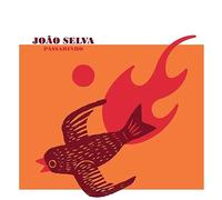 João Selva – Passarinho – CD – Importación USA