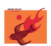 João Selva – Passarinho – Vinilo 12" – Broken Silence