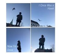 Joby Fox - I Once Was A Hawk, Now I'm A Dove
