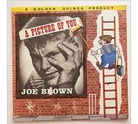 Joe Brown - A Picture Of You
