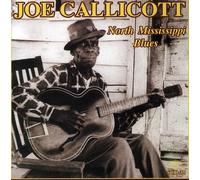 Joe Callicott - North Mississippi Blues
