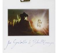 Joe Galullo & Blues Mess - It's My Life