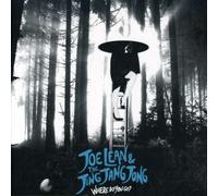 Joe Lean & Jing Jang Jong - Where Do You Go 1