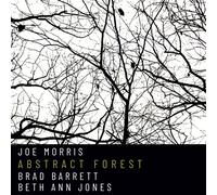Joe Morris, Brad Barrett, Beth Ann Jones Abstract Forest (CD) (Importación USA)