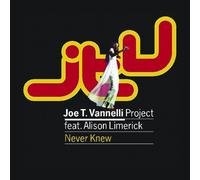 Joe T Vanelli Projekt - Never Knew [Import]